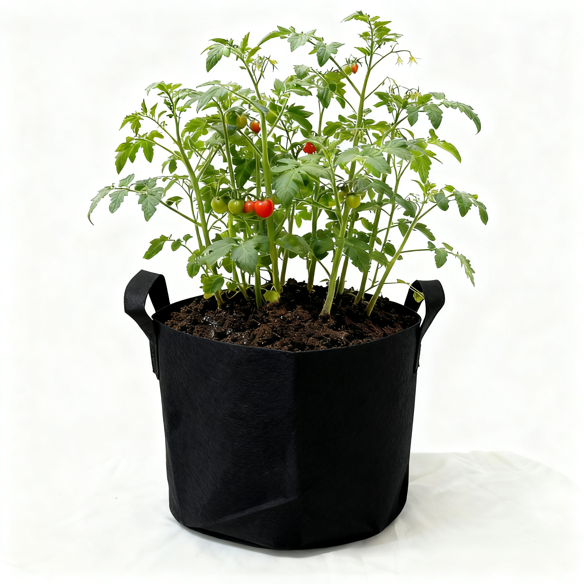 10 Gallon Grow Bags for Vegetable/Flower/Plant, 5 Gallon Aeration Fabric Pots with Handles Cloth Pots for Plants Garden: L / black