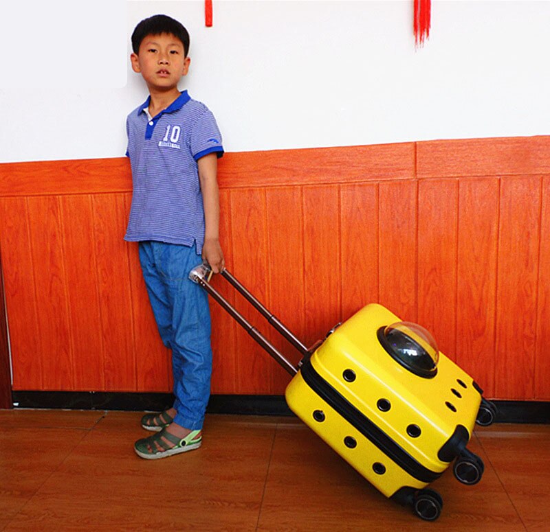 zwierzę domowe wózek Kot na wolnym powietrzu przenośny transport walizka kapsułka zwierzę domowe uniwersalny koło oddychający o dużej pojemności przewoźnik dla kota