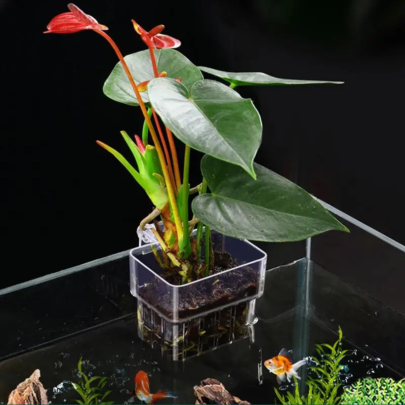 Aquarium Plantenhouder Aquarium Planten Mand met Haak Aquarium Plant Cup Waterplanten Cup Aquarium Decoraties Pot