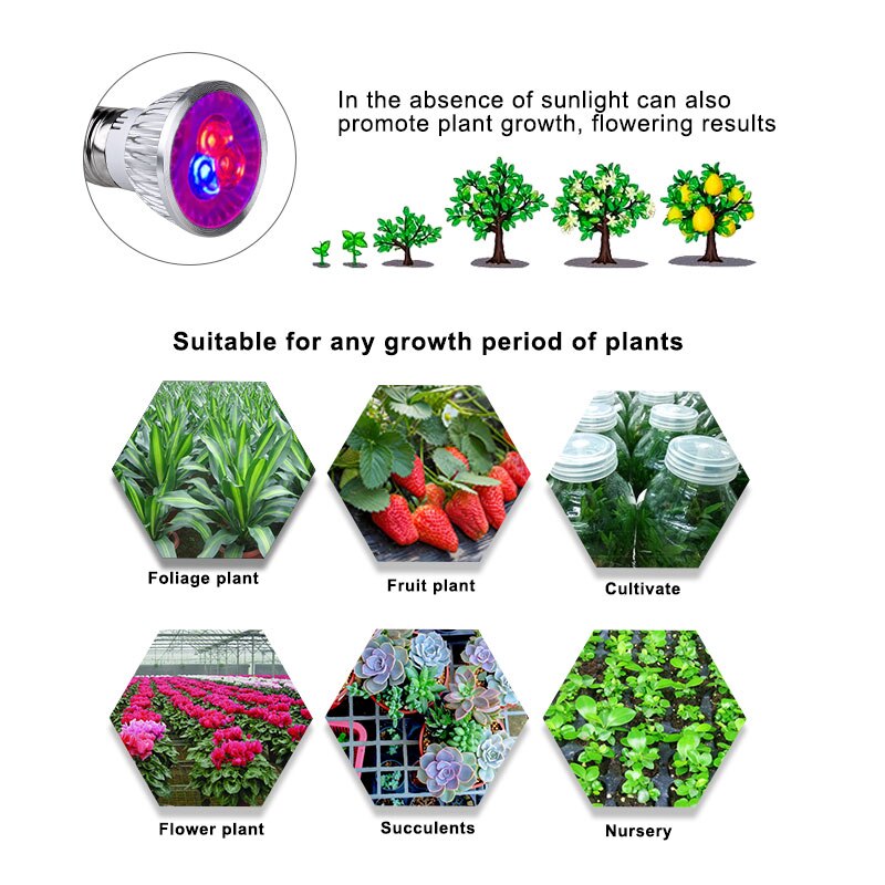 85-265V Led Grow Light Volledige Spectrum Groeien Lamp 6W 10W E27 Led-lampen Phyto Lampen voor Planten Zaden Bloem Groenten Hydrocultuur