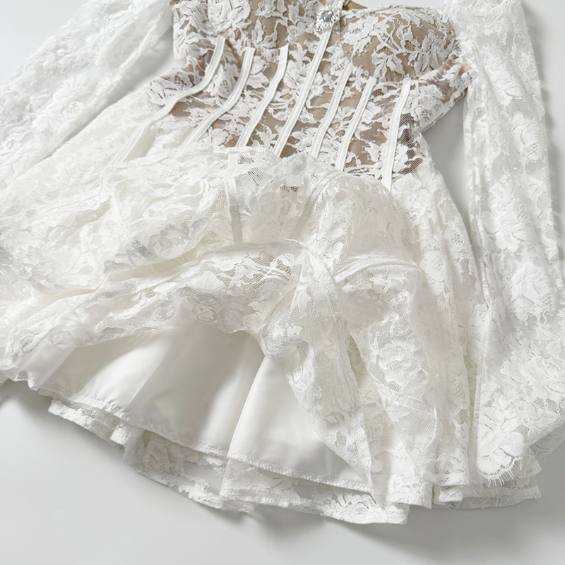 Lace Dress Women Long Sleeve Fishbone Slim Waist Sexy Dress Evening Party Casual Embroidered Floral Mini Dress Female
