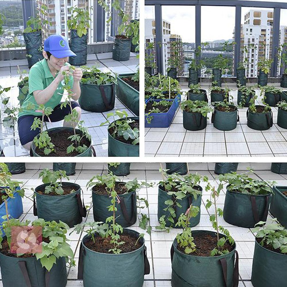 Vokse taske haven seng anti-korrosion udendørs vegetabilsk planter ikke-vævet stof frøplante gallon træhåndtag rektangel jordbær