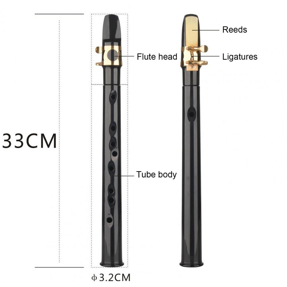 Saxofón de bolsillo portátil de plástico para entrenamiento, instrumento de saxo con lengüetas, bolsa de transporte, pastas de diente para principiantes