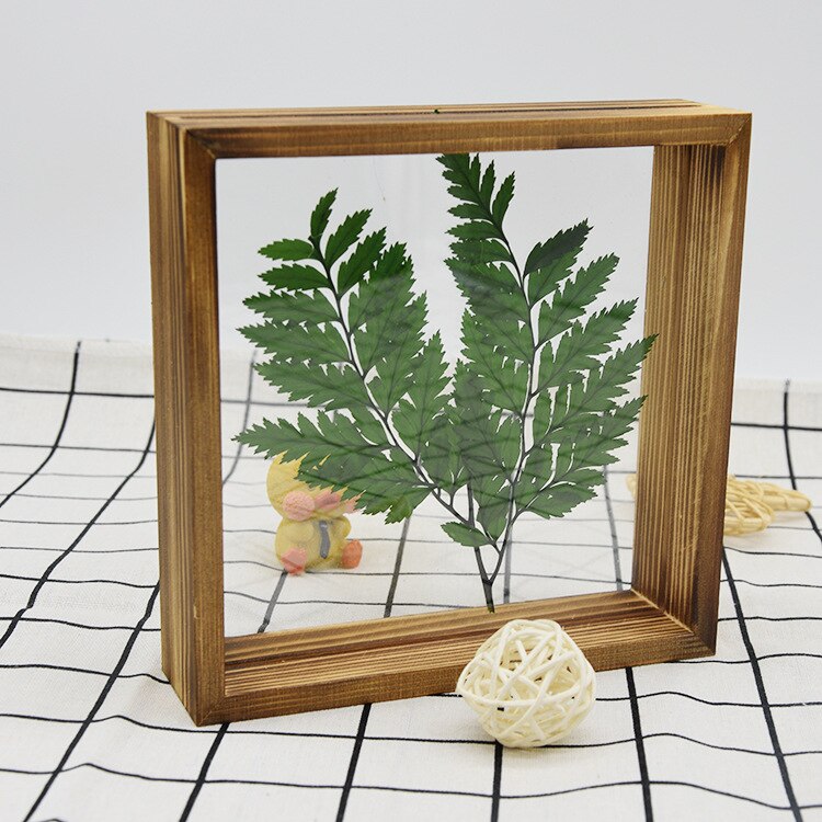 Wooden Photo Frame, Double Sided Acrylic Specimen Frame Set-up for Home Business Place