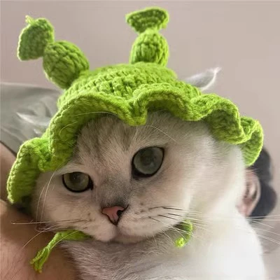 Gorro elástico bonito y refinado para mascotas, gorro de punto para cachorros y gatitos, accesorios para sesión de fotos, accesorios para gatos, otoño e invierno: M / Borgoña