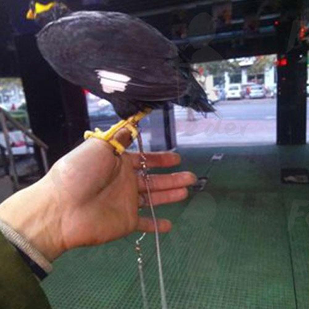 Fugle papegøje fodkæde rustfrit stål ankel fodring udendørs flyvende træningskæde til cockatiel parakit fuglestativ anklet