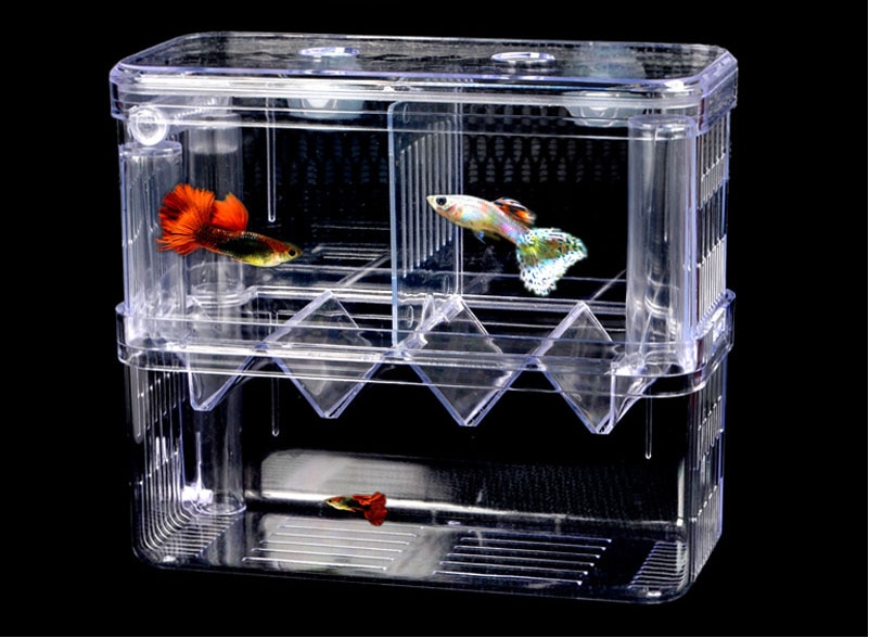 Caja de escotilla de 2 habitaciones para acuario, separación de peces pequeños, guppy, arcylico, flujo automático