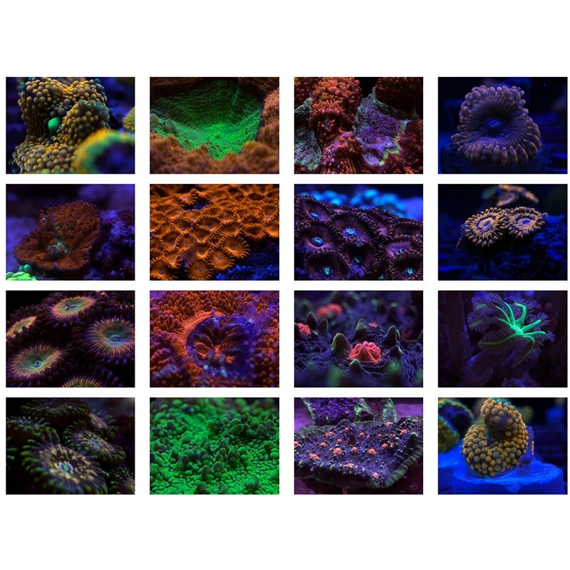 Nuovo filtro per obiettivo per fotocamera per Smartphone per acquario Kit 4 in 1 filtro per lenti giallo arancione per fotografia di acquari di barriera corallina