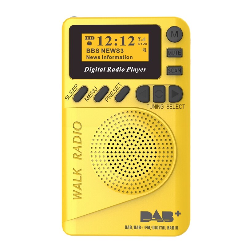 Lecteur Mp3 portatif de démodulateur numérique de Fm de Radio numérique de Mini Dab de poche avec l'affichage d'affichage à cristaux liquides