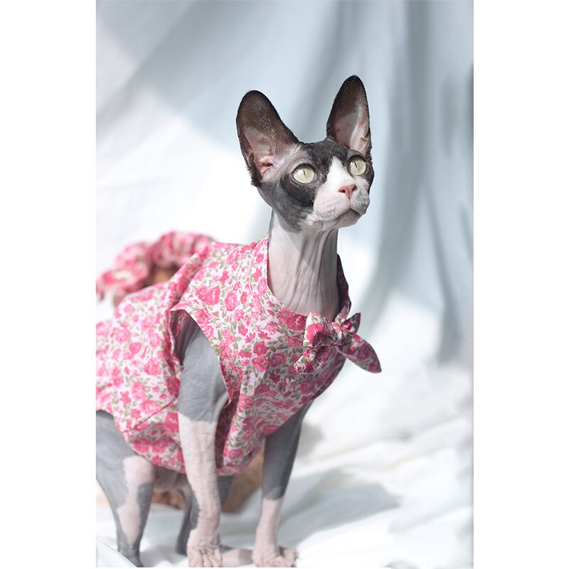 Cat clothes Summer thin floral dress Sphinx hairless cat German Korean pet cat clothes pet costume kitten clothes: red / L