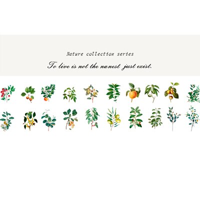 40 unids/bolsa de pegatinas de papel para decoración de plantas y flores naturales, pegatinas para decoración de álbumes de recortes: 05