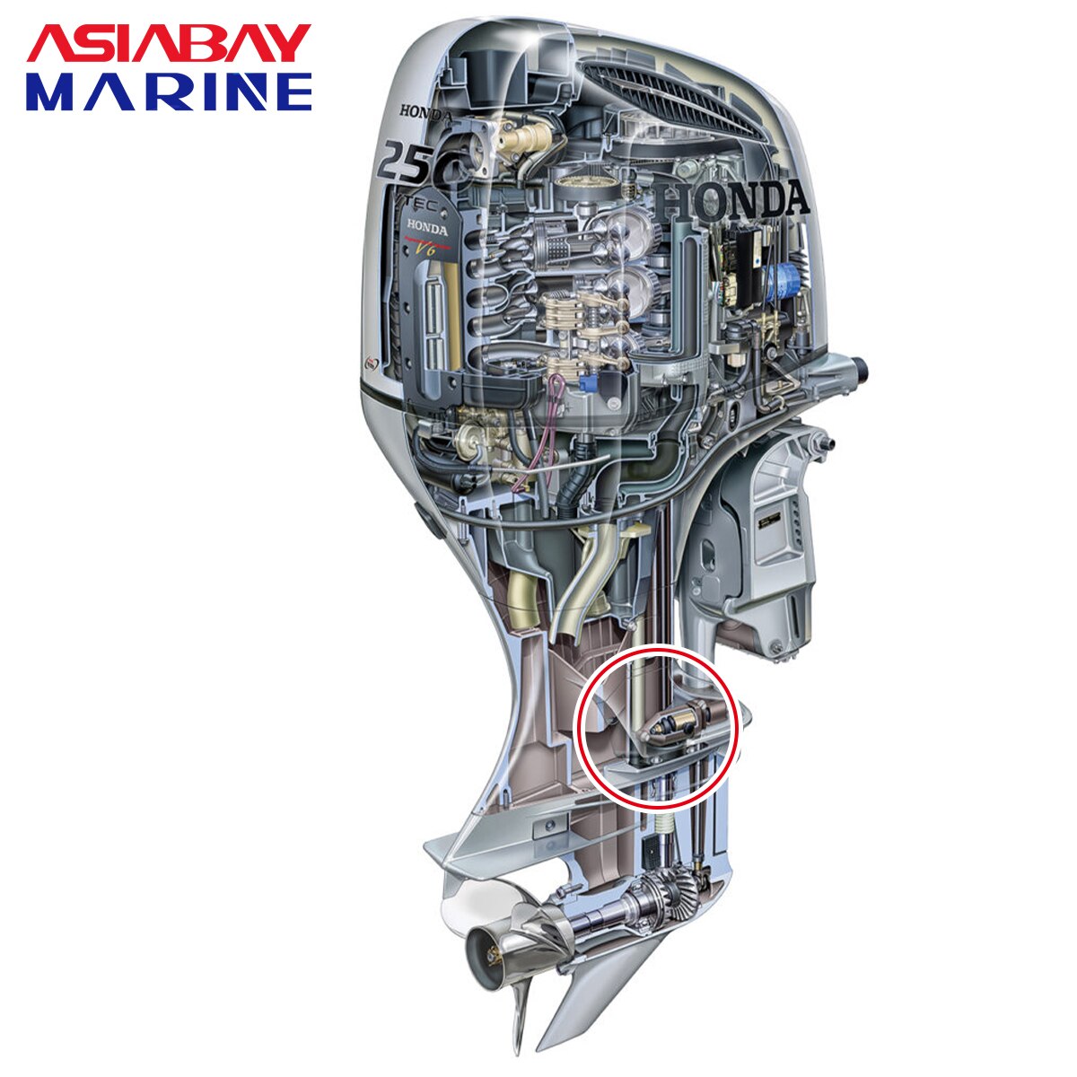 Water Pump Impeller for Honda Outboard Engine 75HP 90HP 115HP 135HP 150HP Motor Impeller for Bf75/90/115/135/150 19210-ZW1-B04