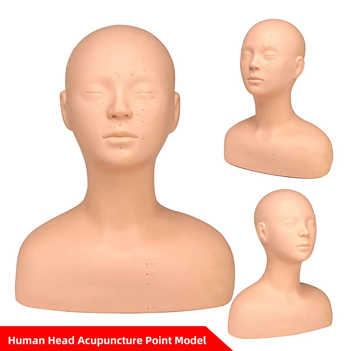 Demi tête factice tête de Mannequin avec épaule Acupoint Acupuncture Massage maquillage Extension de cils pratique modèle tête