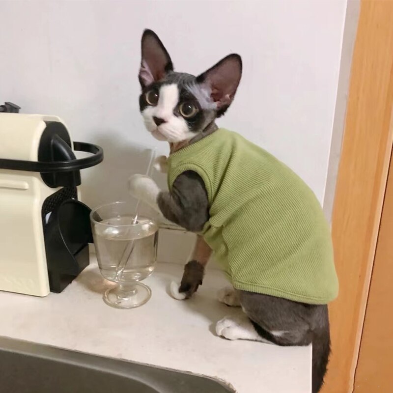 Cotton Sphinx Cat Clothes Cute Pet Sweater Vest Soft Kittens Costume BowKnot V Shirt For Sphynx Spring Summer Devon Rex Ragdoll