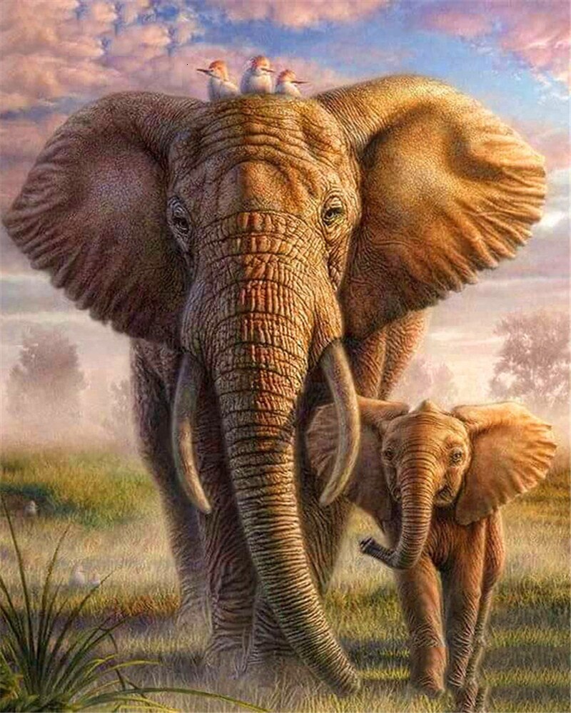 EverShine DIY Oil Painting Paint By Numbers Animals Hand Painted Wall Art Kits Drawing Canvas Elephant Home Decor: SZES-831