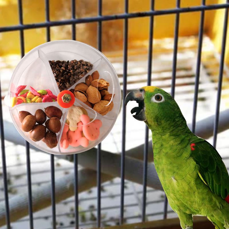 Papegøje foder legetøj enhed fugl bid legetøj hjul form drejelig fugle puslespil fodring madboks  x7yd