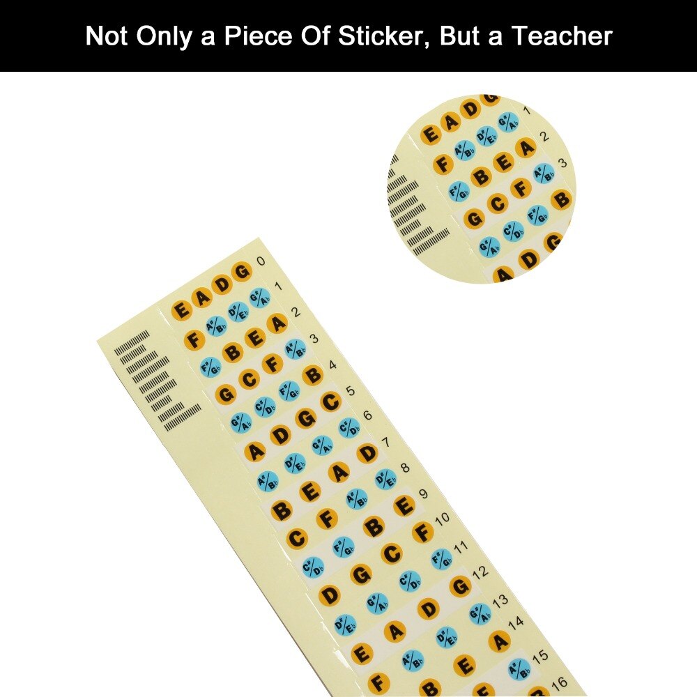 Four Strings Bass Neck Fretboard Fingerboard Note Scale Label Sticker Fret Color Sticker