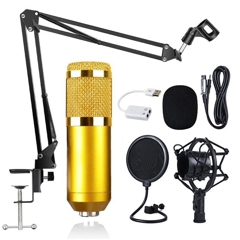 Condenser Microphone for PC Voice Recording Microphone for Karaoke Microphone Mic Kit Sound Card Microphone BM800: Kit 1