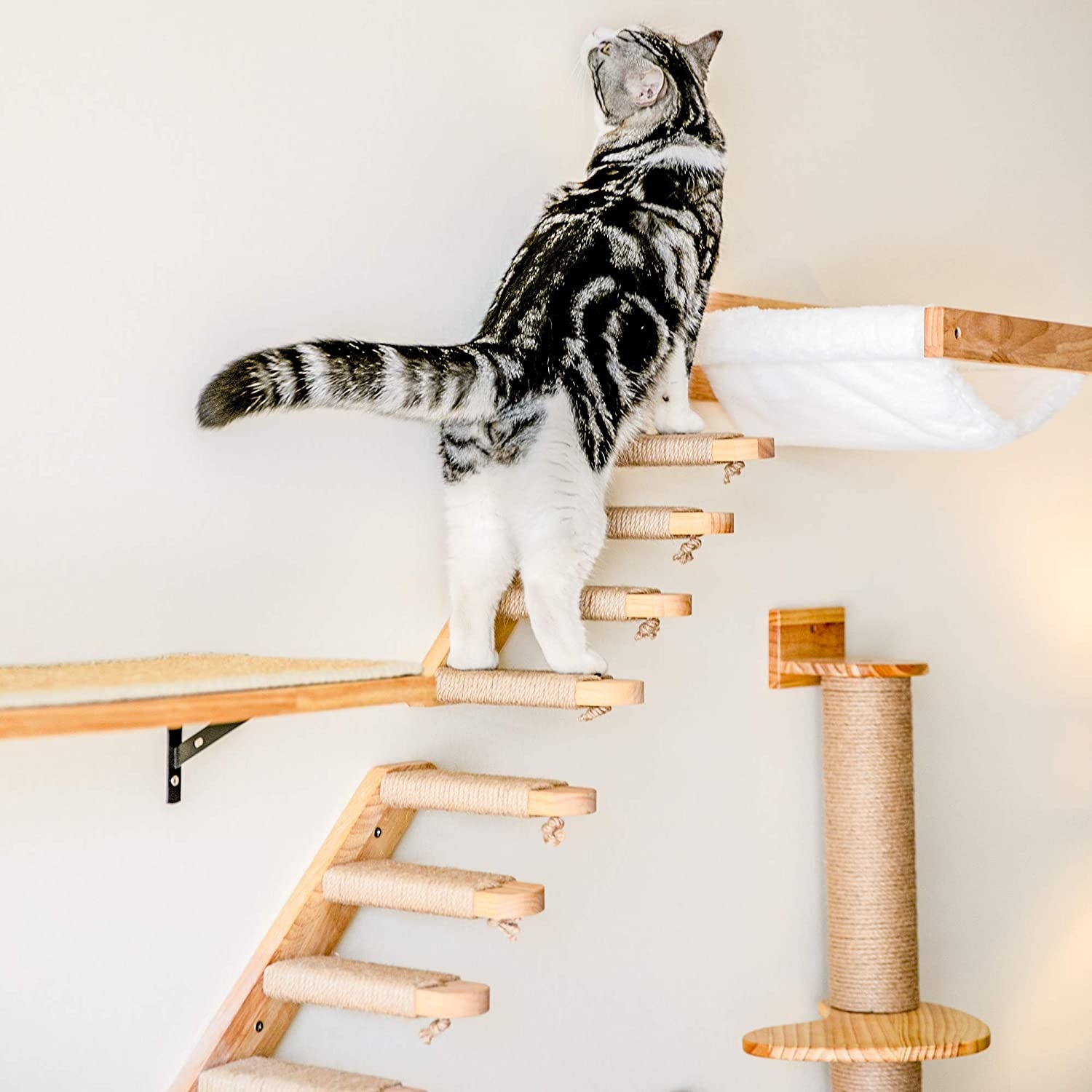 Hamac mural pour chat, meubles pour animaux de compagnie, ensemble d'étagères murales pour chaton, perche pour chat, poste d'escalade à gratter en bois, jouet pour maison d'arbre pour chat