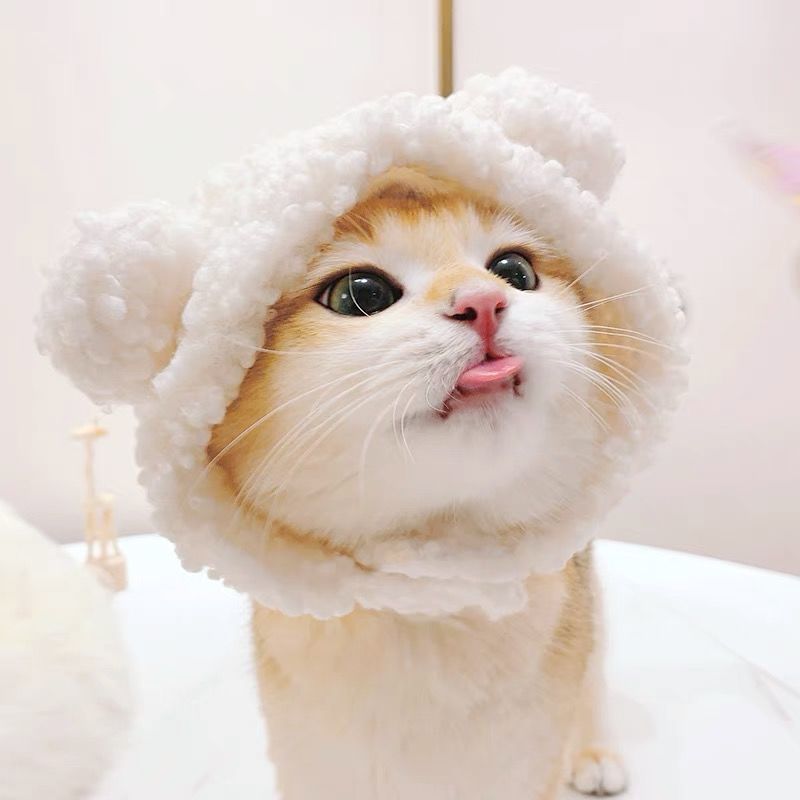 Casquette de chat drôle, couvre-tête en peluche, mignon chat chien tissé, coiffure chaude, chapeau pour animaux de compagnie, chaton, chiot, accessoires de Costume de Cosplay