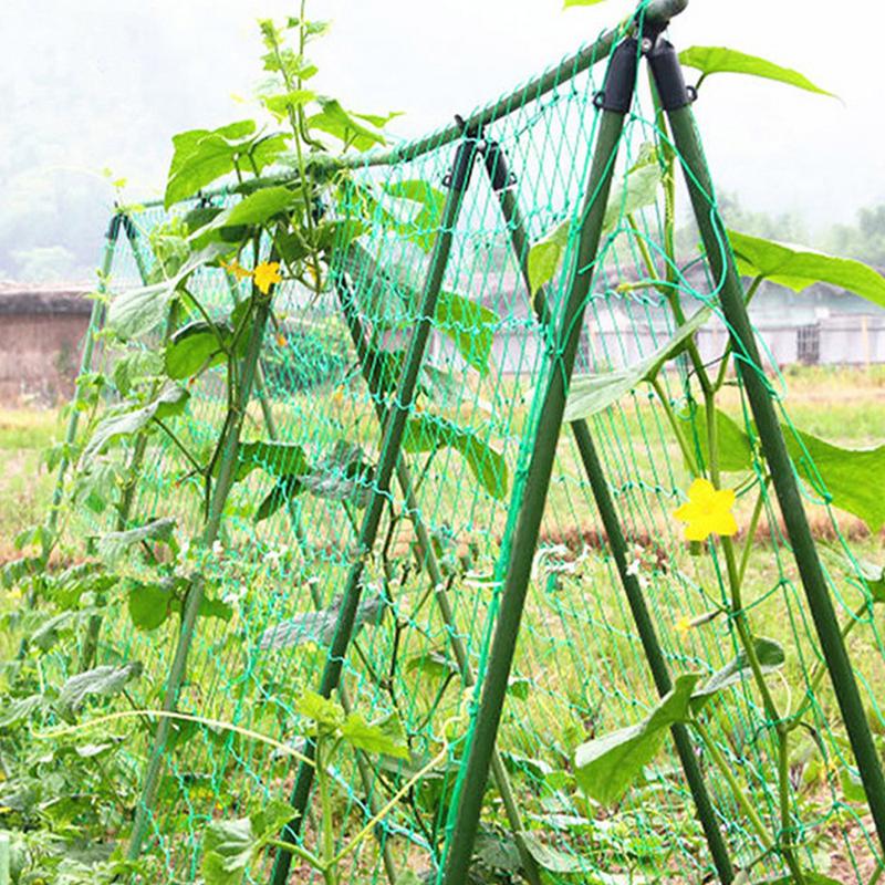 65×48 Upgrade Heightened Cucumber Trellis for Raised Bed, U-Shape Garden Trellis