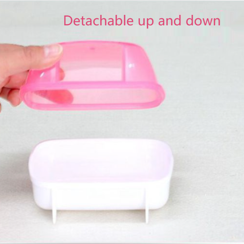 Chinchilla-salle de bain pour animaux domestiques, salle de bain, bain, hamsters, maison, piscine
