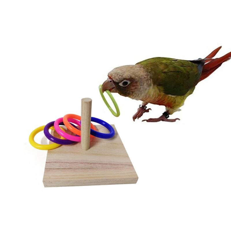 Montessori
