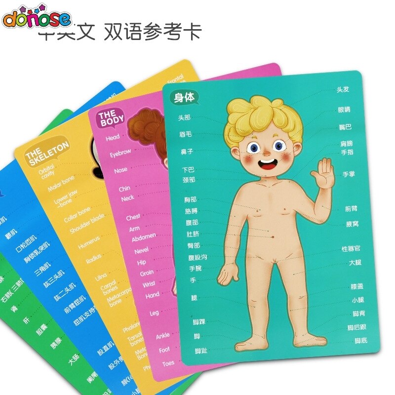 Carte di cognizione del corpo magnete Puzzle divertimento biologia scienza giocattoli educativi per l&#39;apprendimento precoce per bambini regalo di compleanno