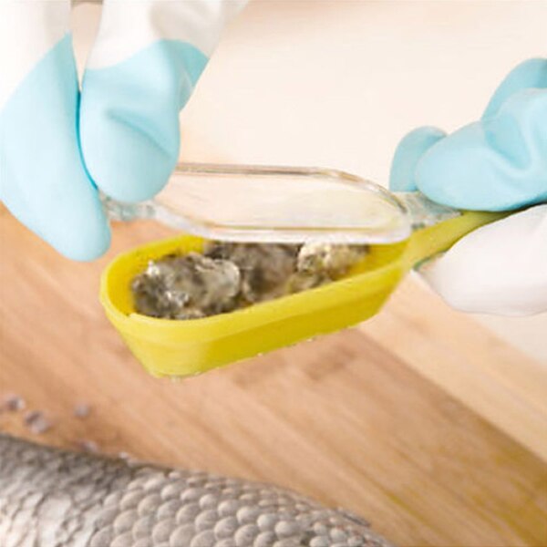 Tool Schubben Borstel Schraper Vis Huid Vruchten Zee Verwijderen 99 S0375 Verzonden Uit Italië