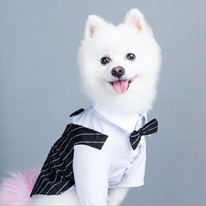 Hond Kleren Kat Prins Wedding Tuxedo Kleding Voor Honden Kostuum Strikje Huisdieren Kleding Puppy Jas Huisdier Producten