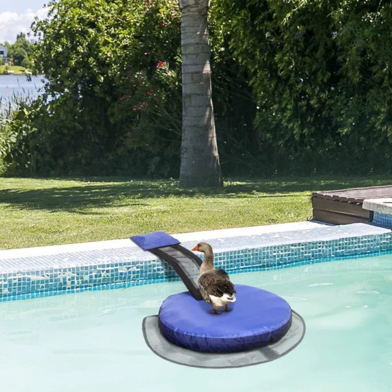 Swimming Pool Auxiliary Animal Landing Escape and Rescue Channel Animal Escape Inflatable Ladder