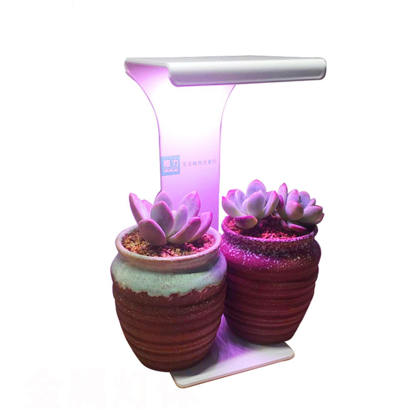 40# Multi Fleshy Led Plant Growing Lamp Usb Flower And Vegetable Seedling Lamp Simple Installation Durable Growing Tents Tool