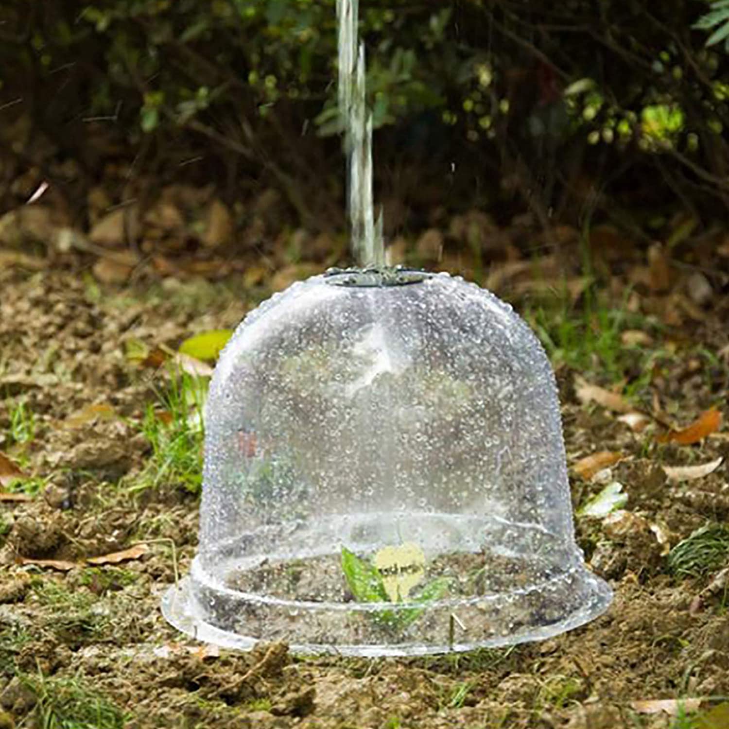 Plant Bell Cover Dome Anti-Freeze Plant Covers Transparent Seedling Insulation Cover Whit Plant Marker Nursery Maintenance Tools