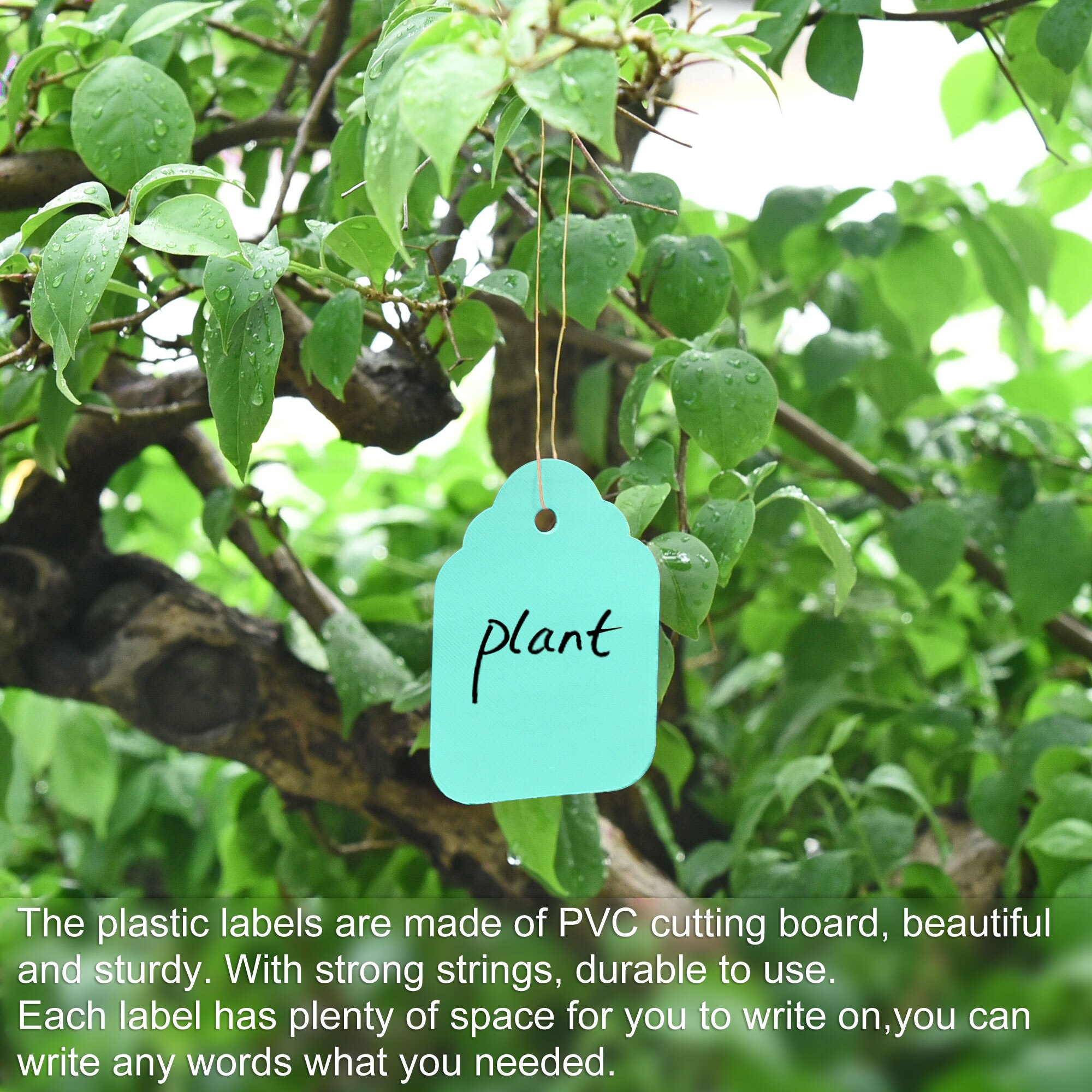 Uxcell Pvc Label 7X5 Cm Waterbestendig Voor Tuin, Winkel, Huis Green Pack Van 100 Pcs