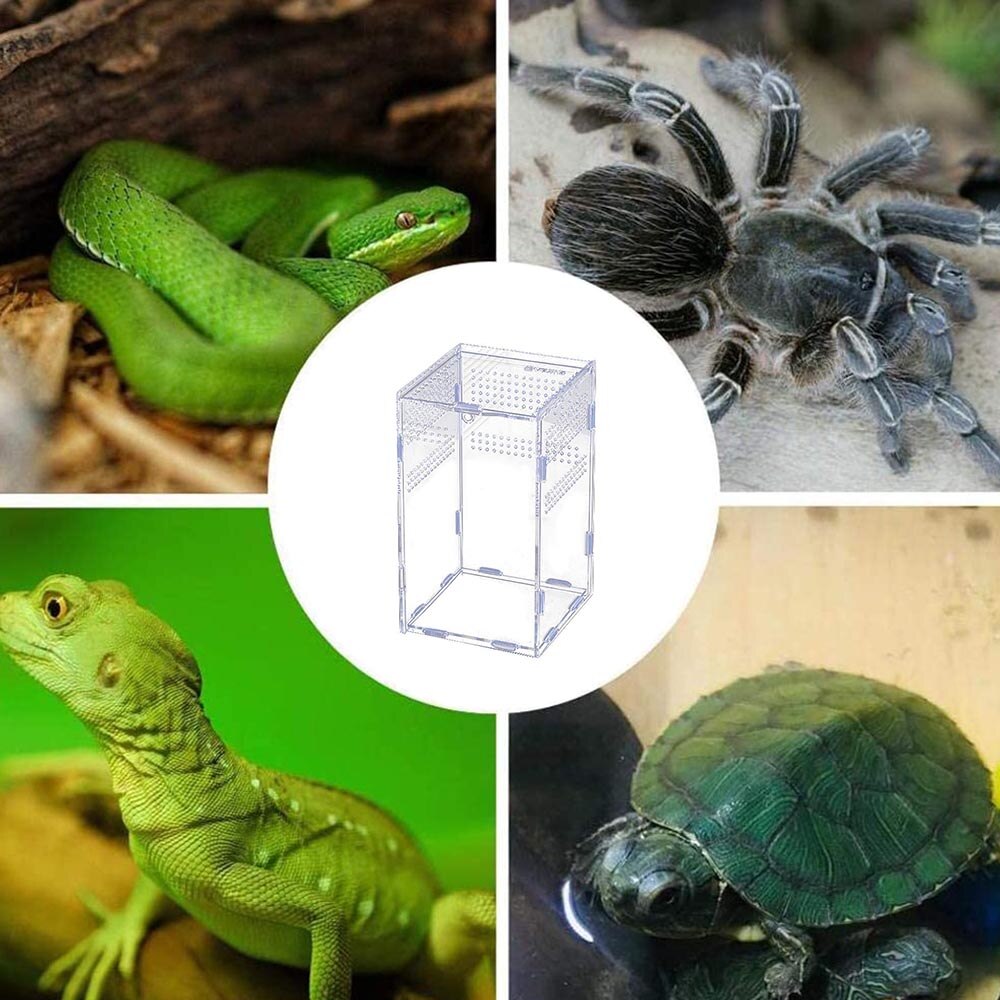 transparent Acryl Reptil Fütterung Insekt Kasten Gottesanbeterin Zucht Kasten Insekt Reptil KäFeige Terrarium Fütterung Kasten Tausendfüßler gehörnt