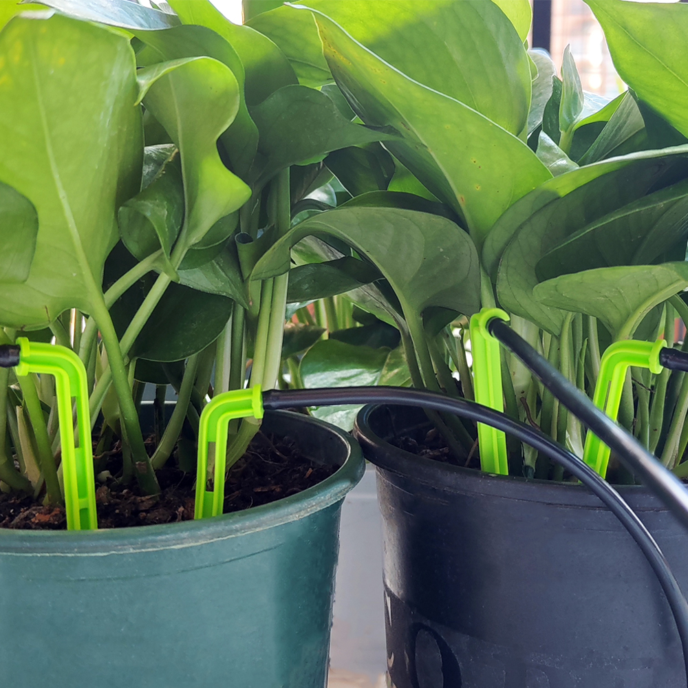 Oasis-sistemas de riego por microgoteo para jardín, kit de goteros de flecha de 3/5mm, para invernadero de bonsái en maceta, 10-100M, 4L, 8l/H