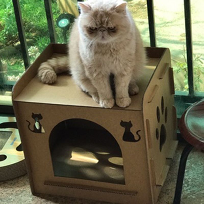 Kæledyr kat kradser killing kat husformet rede soveseng potesliber tyggelegetøj  c6ue