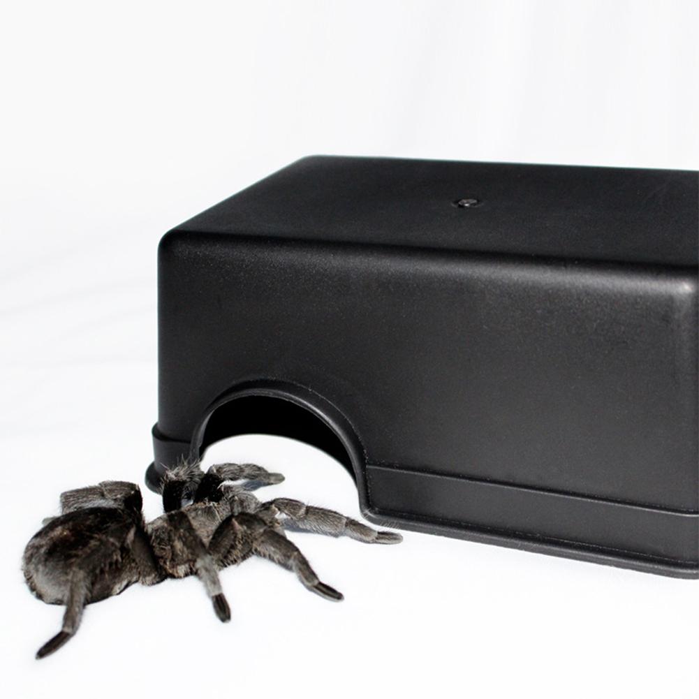 Petits Reptiles animaux de compagnie jouets Gecko serpent abri maison nourriture eau bol Cave escalade boîte