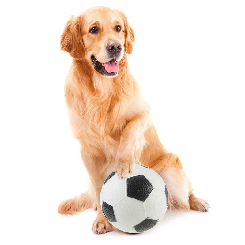 Kæledyr hunde bold legetøj gummi tygge legetøj til hundehvalpe bold fodbold fodbold træning rugby familie yard spil
