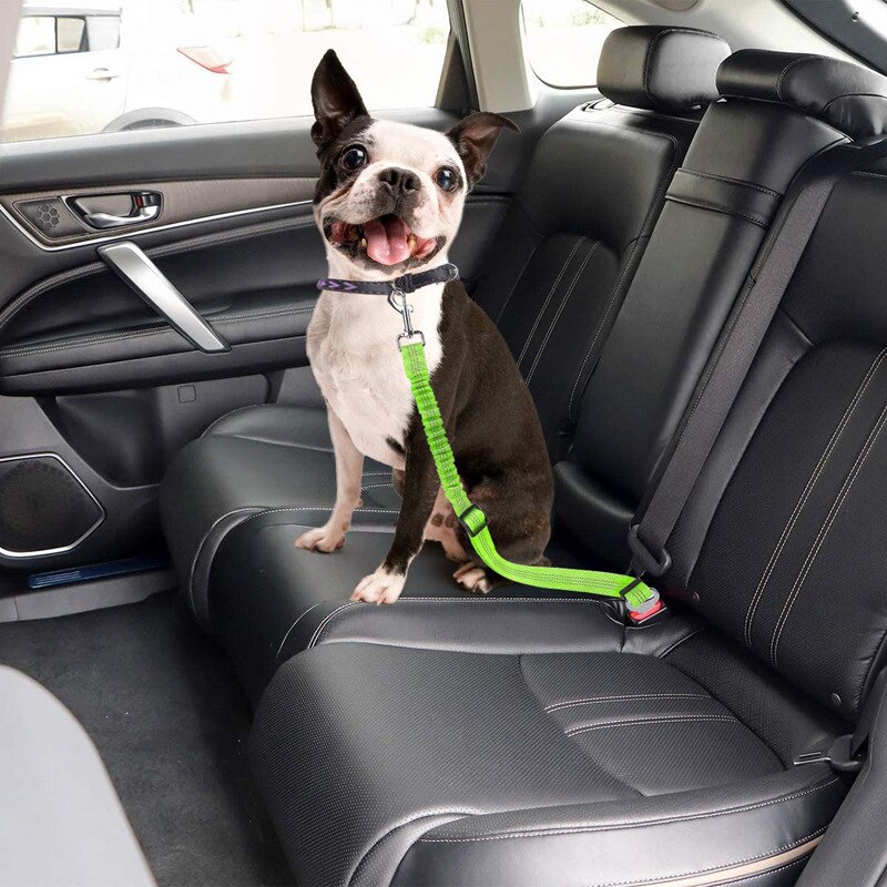 Dierbenodigdheden Autogordel Hond Seat Belt Hondenriem Voertuig Riem Verstelbare Demping Elastische Reflecterende Veiligheid Touw Voor Hond kat