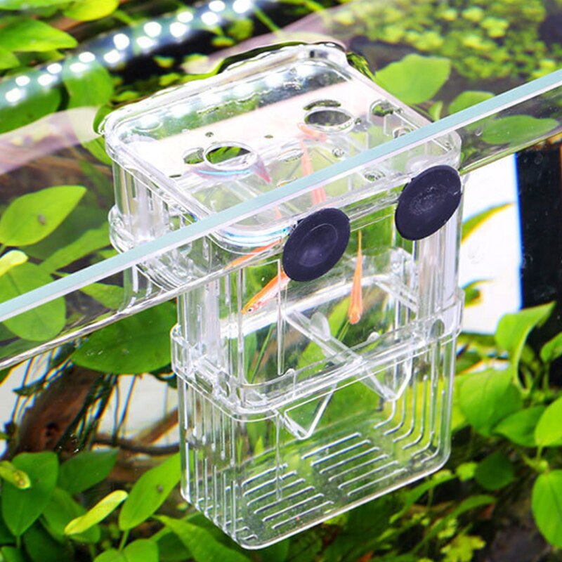 Double-Deck Clear Fish Breeding Isolation Box Floating Guppy Fish Incubator Protective Baby Fish Aquarium Breeder Acrylic