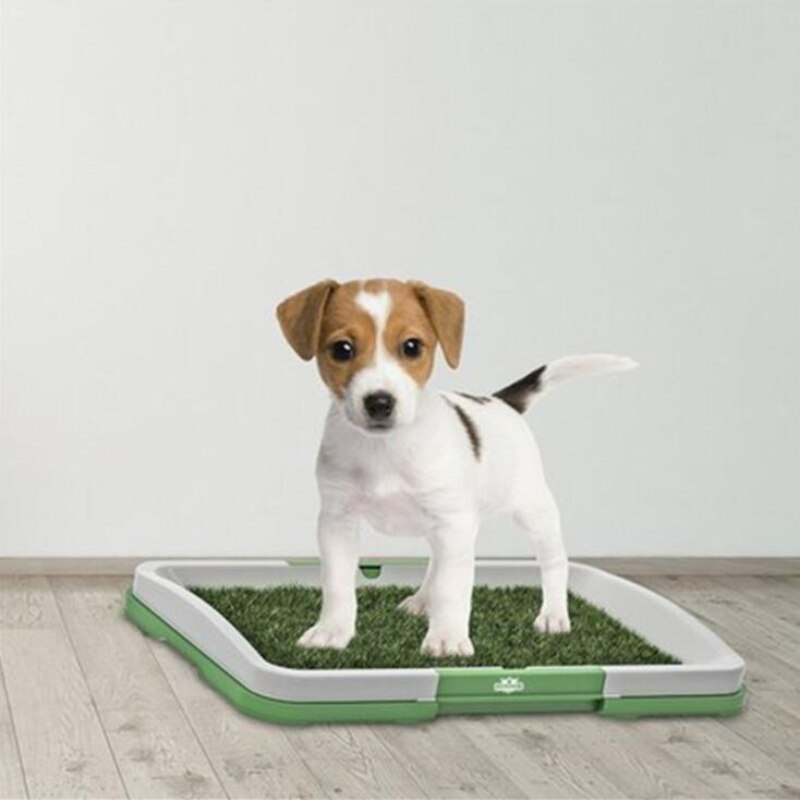 Hond Wc Gazon Huisdieren Wc Trays Rooster Kak Toiletten Puppy Matten Puppy Plassen Training Box Dierbenodigdheden