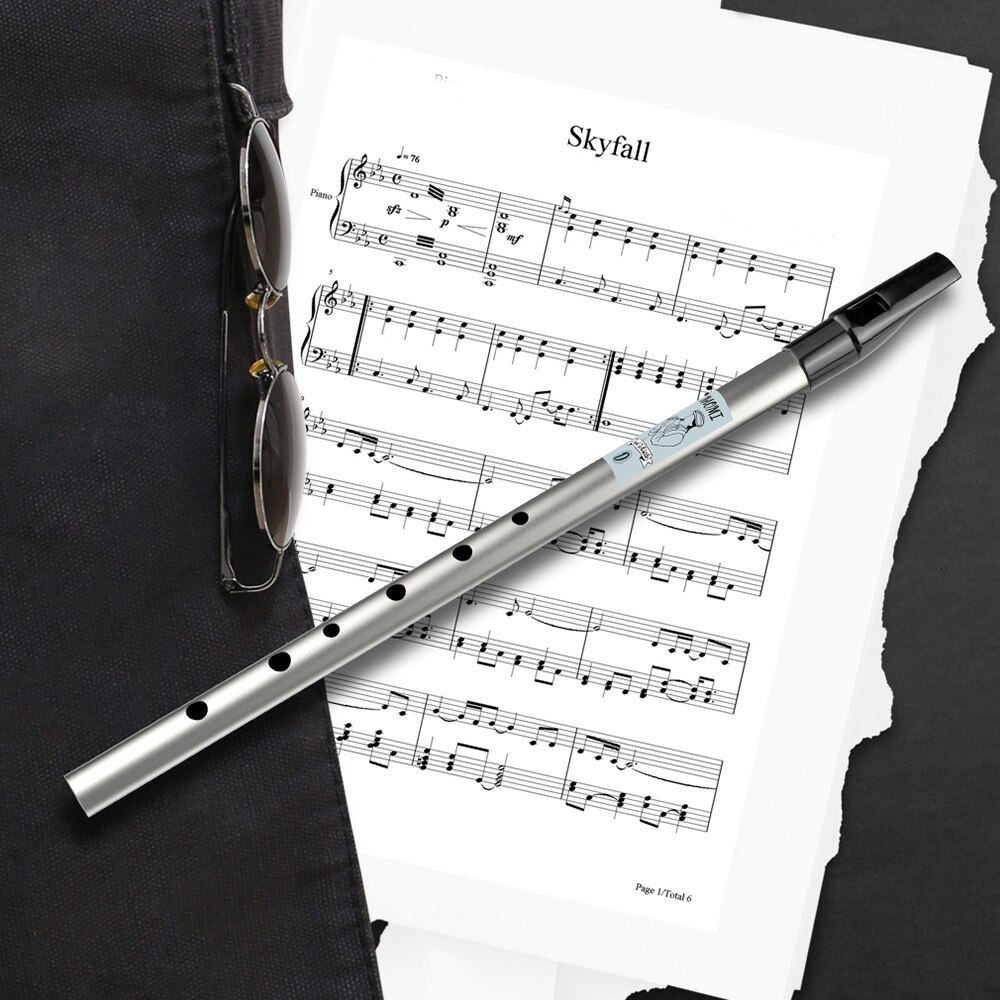 NAOMI 6-Loch Tin Whistle Traditionelle Irische Penny Whistle in D - Messing Musikinstrument für Anfänger