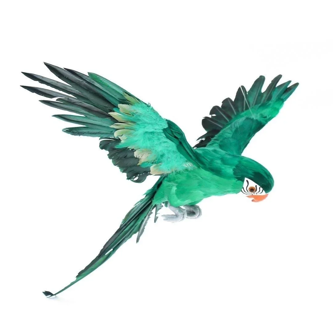 Pájaros artificiales para decoración del hogar, pájaros de simulación, loros vivos, decoración bonita para estanque al aire libre: Verde