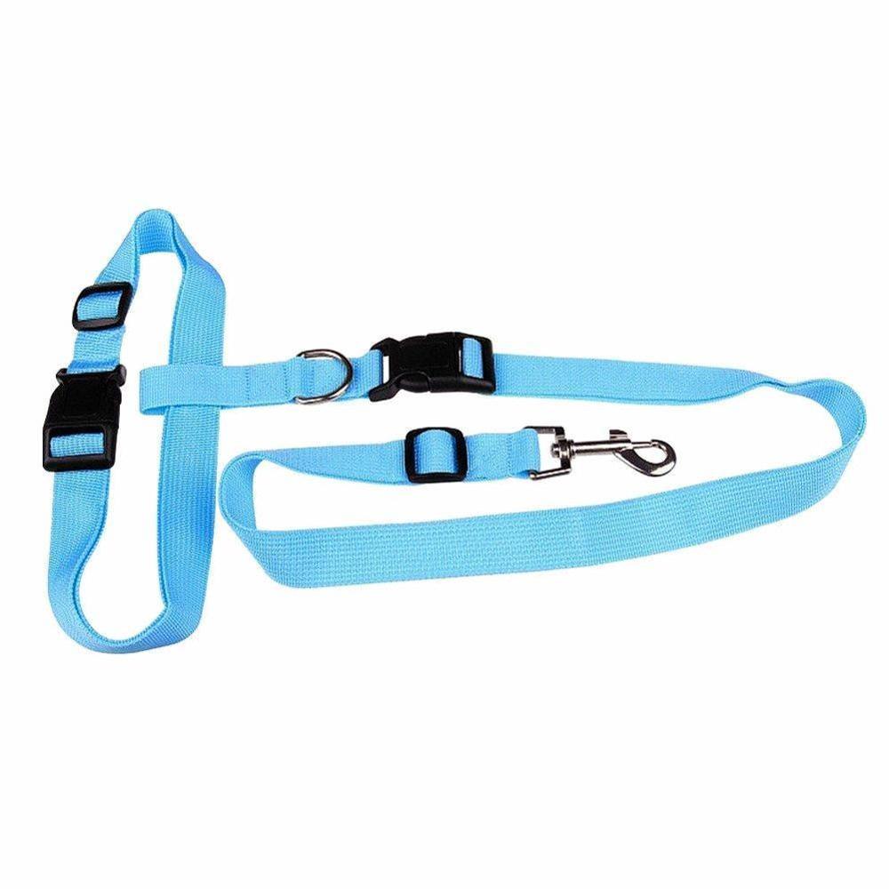 1Pc Verstelbare Nylon Pet Led Halsband Harnas Voor Kleine Accessoires Running Leash Sport Wandelen Jogging Puppy Product Hond i5C9: sky blue