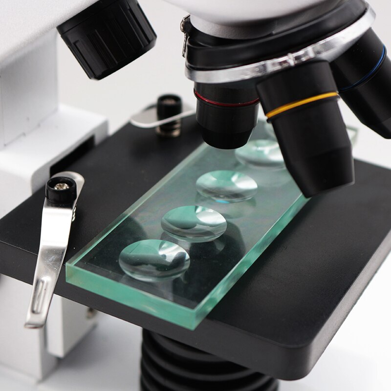 Tobogán de microscopio biológico de cristal, 5mm de grosor, 5 tobogán redondo cóncavo en blanco para investigación biológica, detección de líquidos, 1 unidad