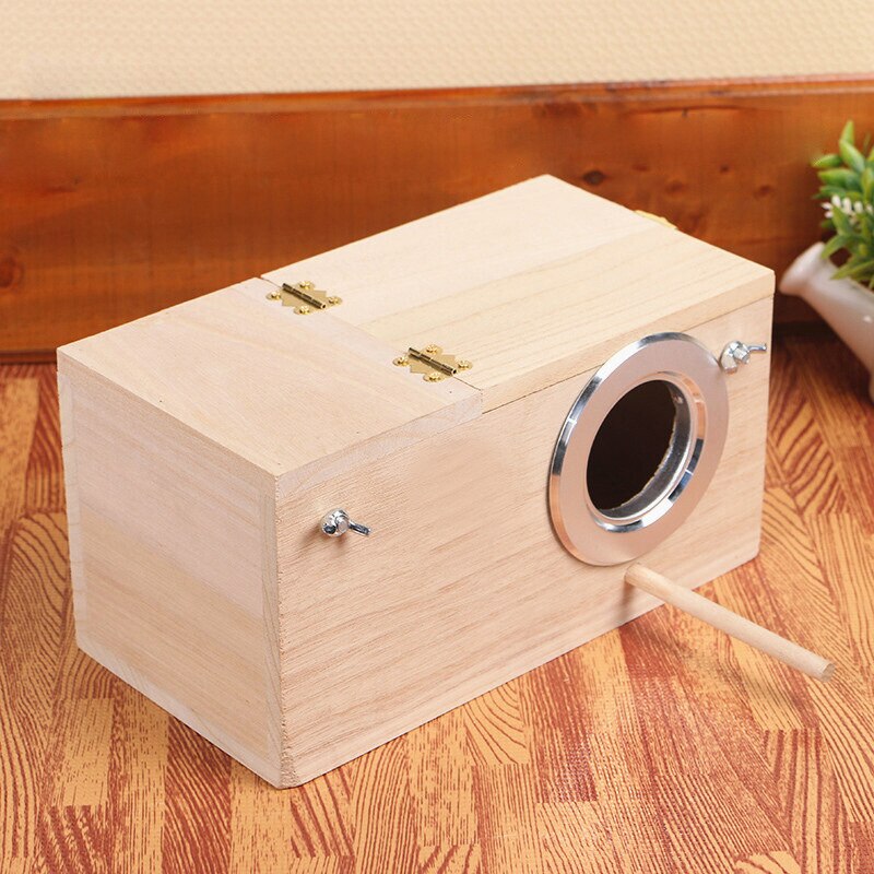 Cage en bois pour perruches, perruches pour animaux de compagnie, perruches, Cockatiel, nidification, oiseau, volière