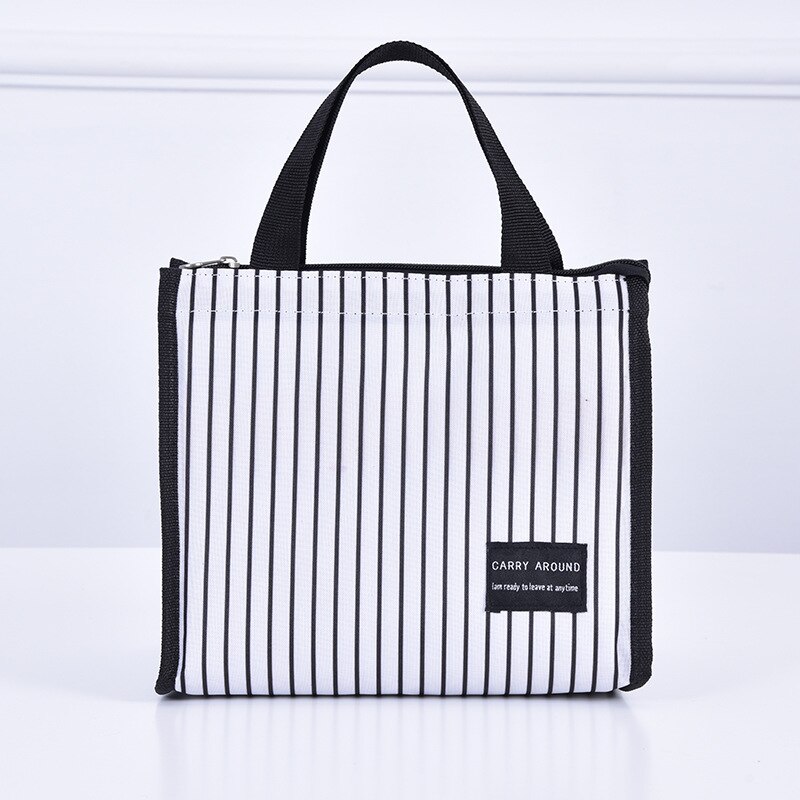 Borsa per isolamento a freddo borsa per il pranzo ispessita borsa per il pranzo impermeabile portatile per picnic per studenti: 24X16X21CM