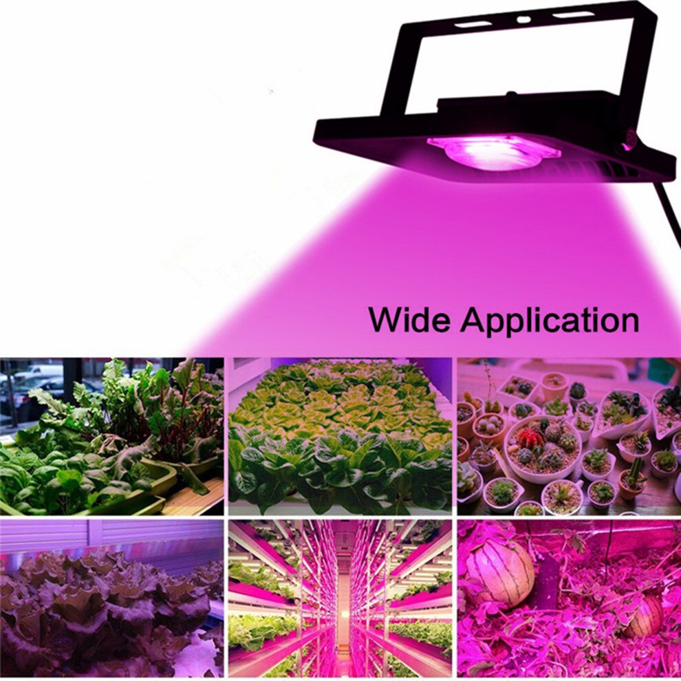 Høy effekt kolbe ledet vokse flom lys/ ledet chip 20w 30w 50w 100w ac220v ip65 vanntett fullspekter 380-780nm til såplante