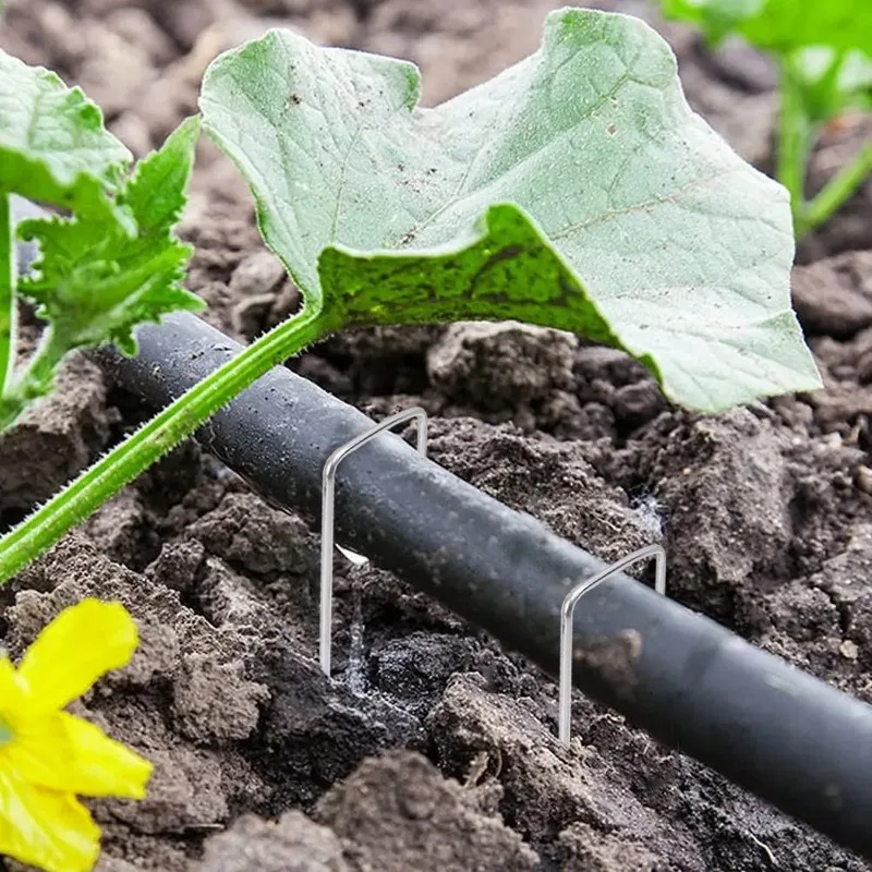 Piquets de jardin en forme de U en acier galvanisé, pointes de paysage robustes, agrafes pour tube de clôture pour maintenir les pelouses, barrière, clous au sol